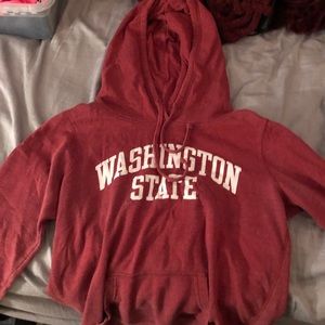 Shirts, Sweatshirts, and Dresses